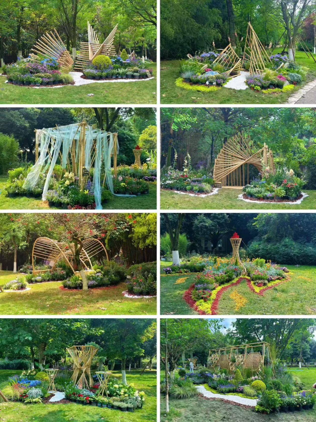在“竹影花姿”间筑梦风景：365英国上市集团联合实验教学项目探索实践育人新高度